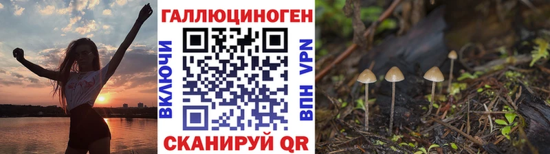 Псилоцибиновые грибы Psilocybine cubensis  наркотики  Приволжский 